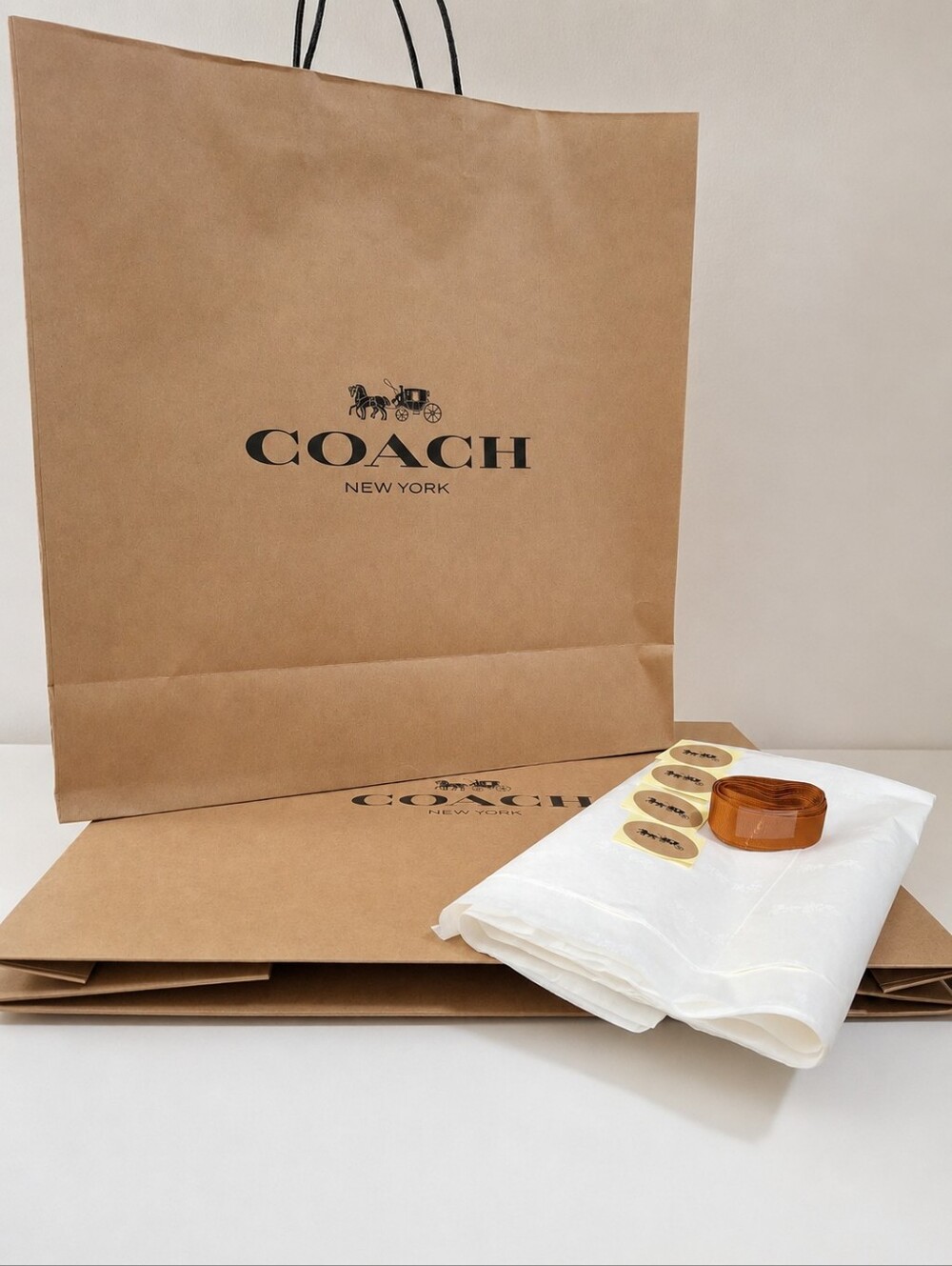 Coach Gift Packaging Set XL Shopping Bag Gift Box Tissue Paper Ribbon Stickers